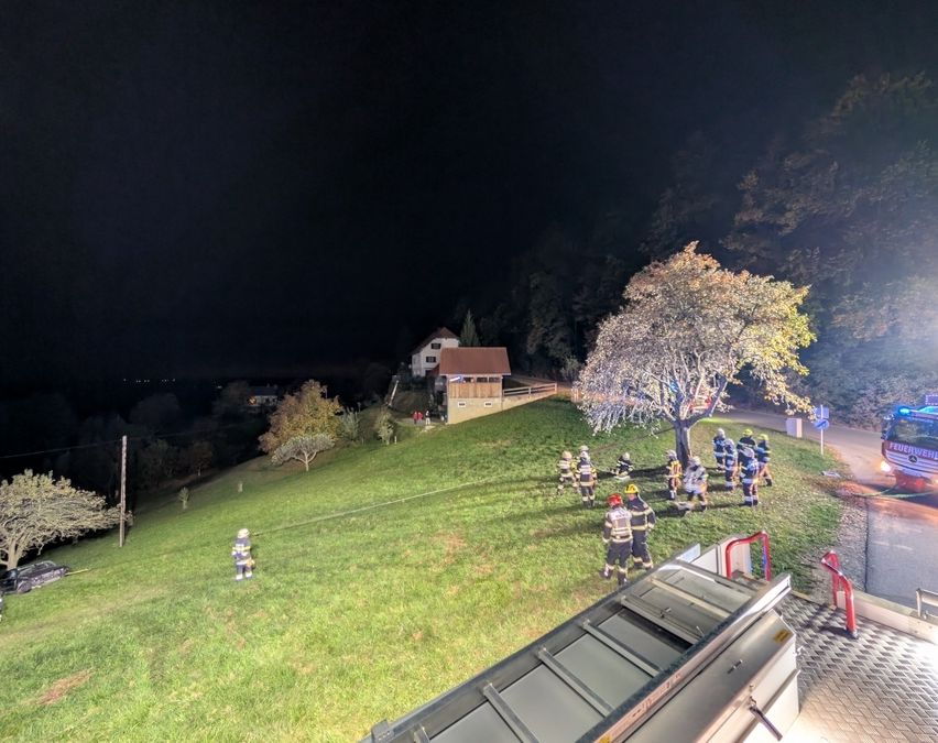 Feuerwehrleute stehen nachts auf einem Hügel in der Nähe eines Hauses, mit Bäumen und einem Feuerwehrauto.