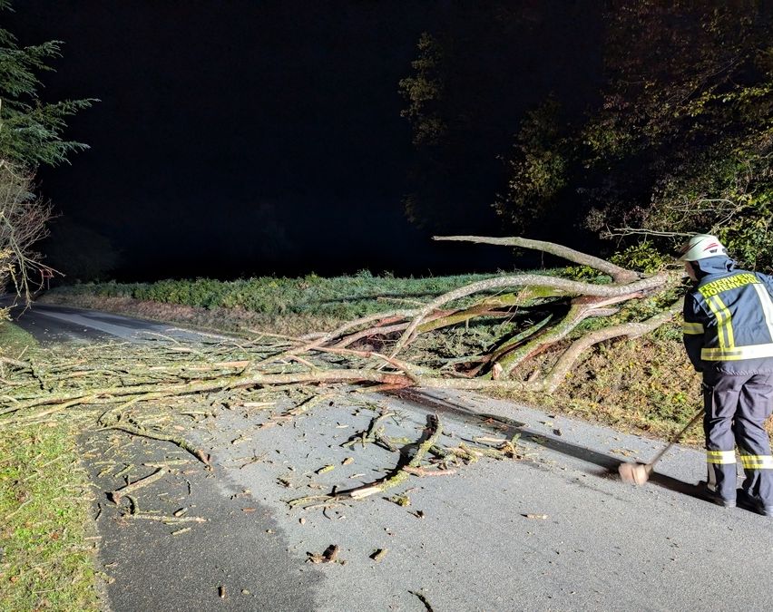 Ein Feuerwehrmann räumt nach einem Sturm in der Nacht Äste auf einer Straße auf.