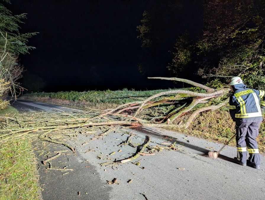 Ein Feuerwehrmann räumt nach einem Sturm in der Nacht Äste auf einer Straße auf.