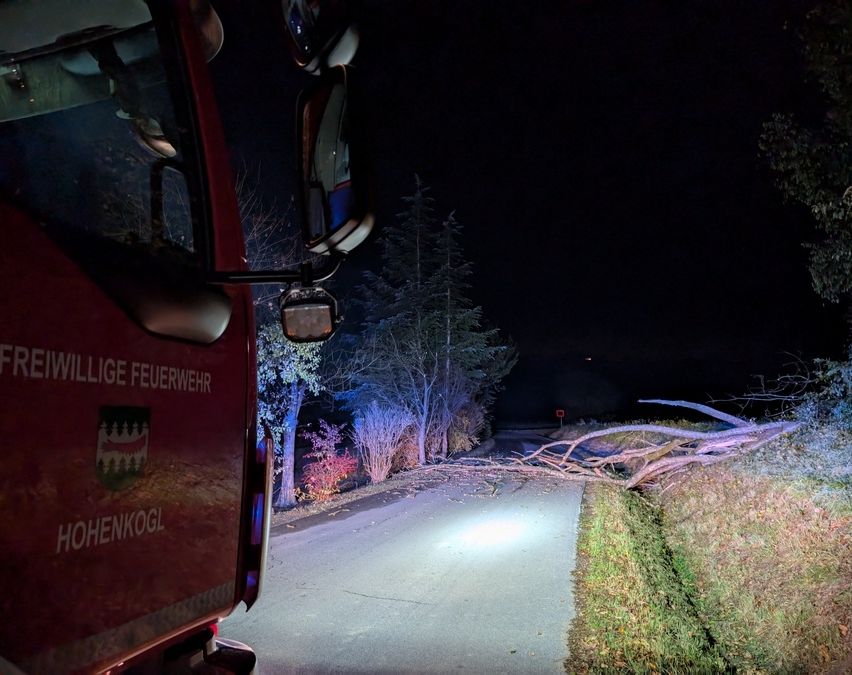 Ein roter Feuerwehrwagen aus Hohenkogl steht nachts am Straßenrand. Die Straße ist von Bäumen und Büschen umgeben, und ein umgestürzter Ast liegt am Straßenrand.
