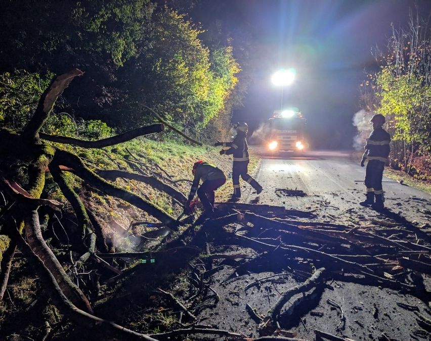 Drei Feuerwehrleute räumen Äste von einer Straße bei Nacht. Die Äste sind auf der Straße verstreut, und ein Feuerwehrwagen ist am Straßenrand geparkt.