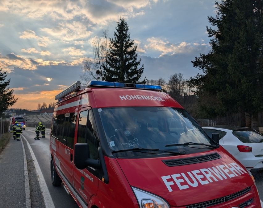 Ein rotes Notfallfahrzeug steht am Straßenrand, während Feuerwehrleute einen Vorfall auf der Straße bearbeiten. Bäume und eine untergehende Sonne sind im Hintergrund zu sehen.