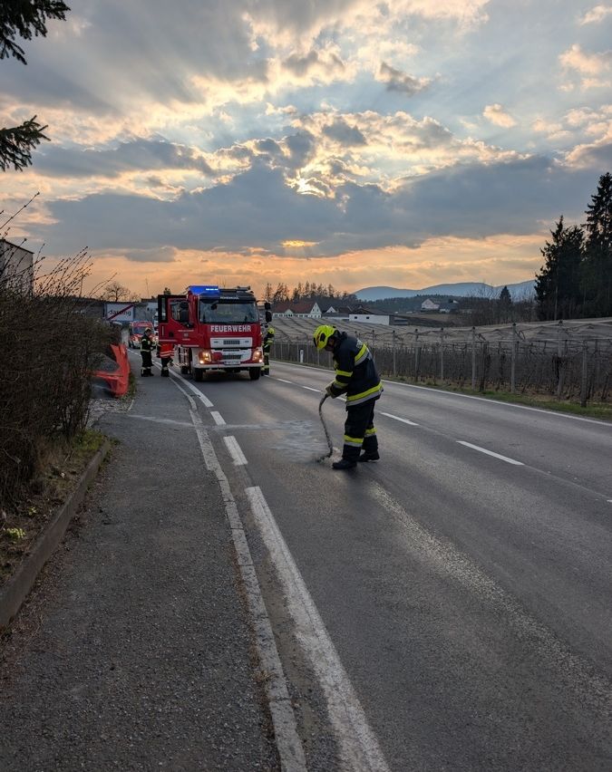 Ein Feuerwehrmann steht mit einer Feuerwehrschläuche am Straßenrand, während zwei andere Feuerwehrmänner beim Feuerwehrauto stehen. Bäume und ein Sonnenuntergang sind im Hintergrund.