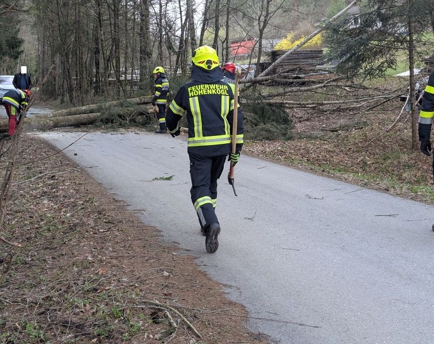 Feuerwehrleute in gelben Helmen arbeiten daran, umgefallene Bäume von einem Pfad zu räumen. Sie sind mit Schutzausrüstung und Werkzeugen ausgestattet.