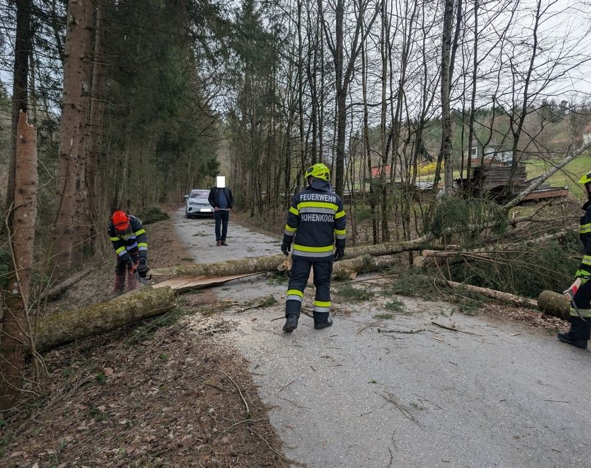 Feuerwehrleute arbeiten an einem umgestürzten Baum, der einen Waldweg blockiert. Einer benutzt eine Kettensäge, während der andere zusieht.