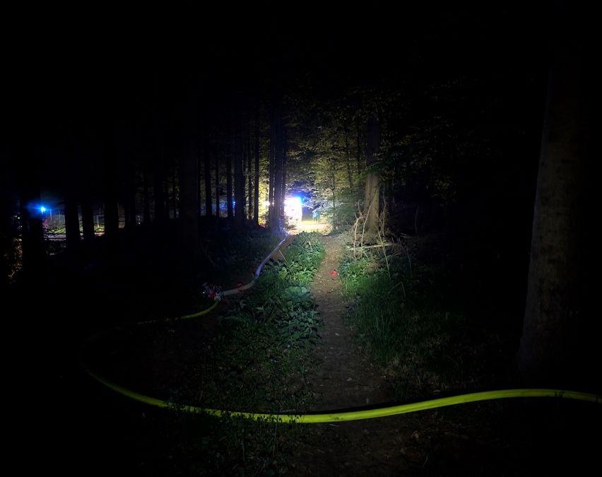Ein dunkler Waldweg mit Bäumen auf beiden Seiten. Ein gelbes Seil liegt entlang des Pfades. In der Ferne blinken blaue Lichter.