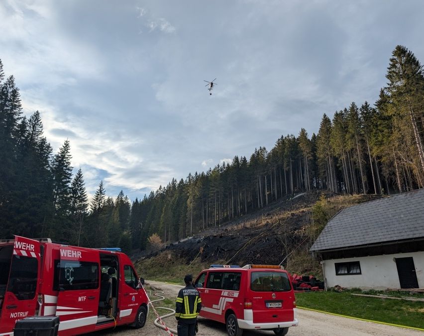Feuerwehrleute reagieren auf einen Waldbrand. Zwei rote Rettungsfahrzeuge sind am Straßenrand geparkt, ein Feuerwehrmann steht in der Nähe. Ein Hubschrauber schwebt oben und sprüht Wasser. Bäume säumen den Hintergrund, und ein Haus ist in der Ferne sichtbar.