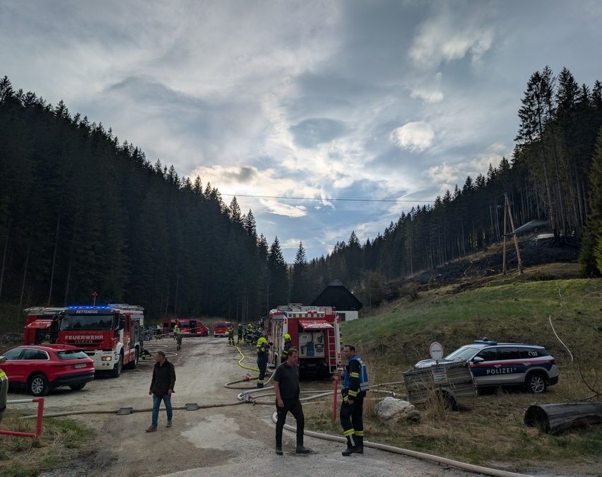 Feuerwehrwagen und Polizeifahrzeuge sind am Straßenrand geparkt. Feuerwehrleute arbeiten an einem Brand in einem Waldgebiet.