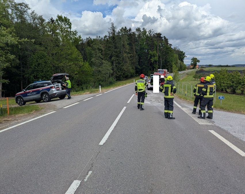 Ein Polizeiauto und Feuerwehrleute befinden sich auf einer Straße, wobei eine Person in der Nähe des Autos steht und andere am Straßenrand, möglicherweise im Einsatz bei einem Vorfall.