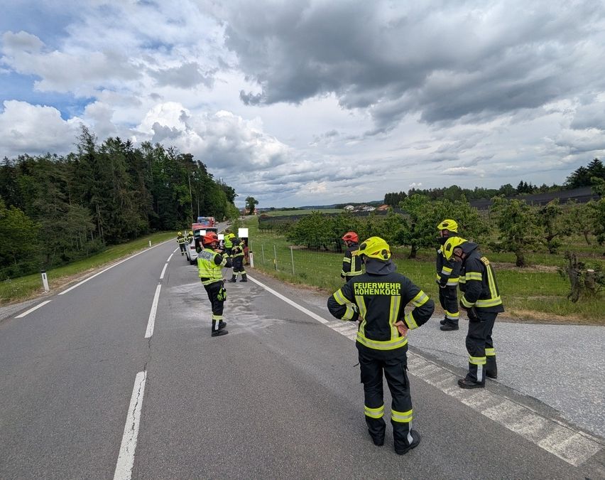 Firefighters in protective gear stand on the road, with a fire truck and other vehicles behind them. The road is empty with markings and surrounded by greenery under a cloudy sky.