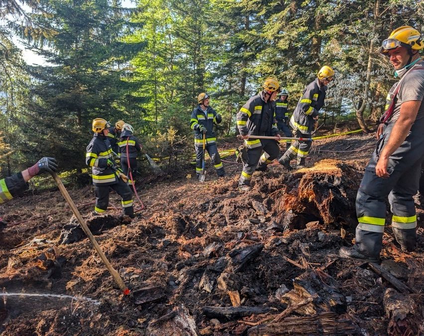 Eine Gruppe von Feuerwehrleuten in Schutzausrüstung arbeitet auf einem Waldweg und räumt mit Werkzeugen Trümmer weg. Die Szene ist von Bäumen und einem gelben Seil umgeben.