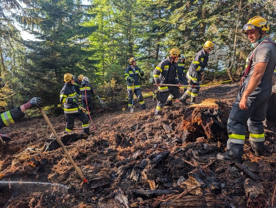 Eine Gruppe von Feuerwehrleuten in Schutzausrüstung arbeitet auf einem Waldweg und räumt mit Werkzeugen Trümmer weg. Die Szene ist von Bäumen und einem gelben Seil umgeben.