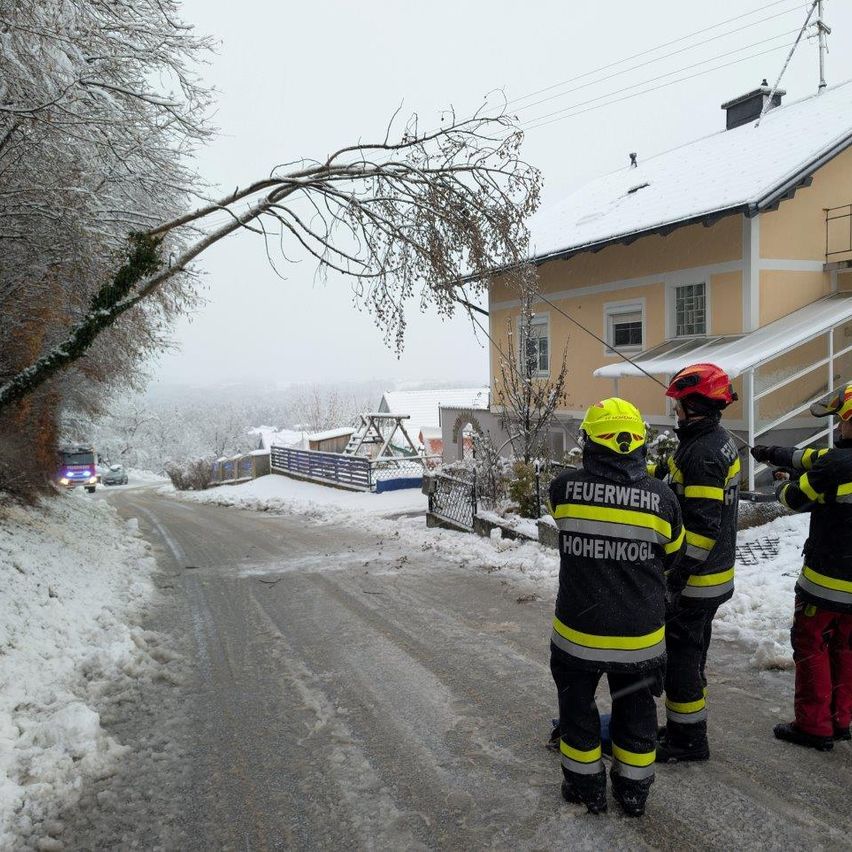 Drei Feuerwehrleute stehen auf einer verschneiten Straße vor einem Haus. Ein Ast ist über die Straße gefallen. Schnee bedeckt den Boden und die Bäume.