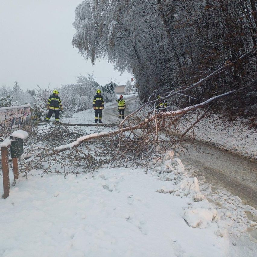 Feuerwehrleute in gelben Helmen stehen auf einer verschneiten Straße und räumen einen umgestürzten Baum. Schnee bedeckt den Boden und die Bäume.