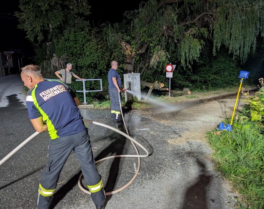 Drei Feuerwehrleute reinigen die Straße mit einem Schlauch. Einer sprüht Wasser, ein anderer hält den Schlauch und der dritte steht neben einem umgefallenen Baum.