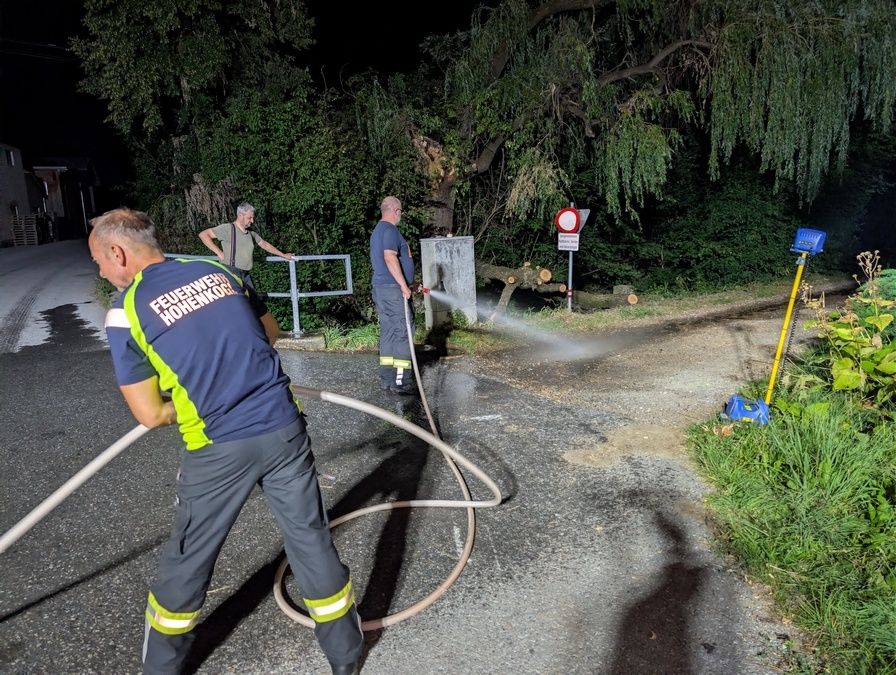 Drei Feuerwehrleute reinigen die Straße mit einem Schlauch. Einer sprüht Wasser, ein anderer hält den Schlauch und der dritte steht neben einem umgefallenen Baum.