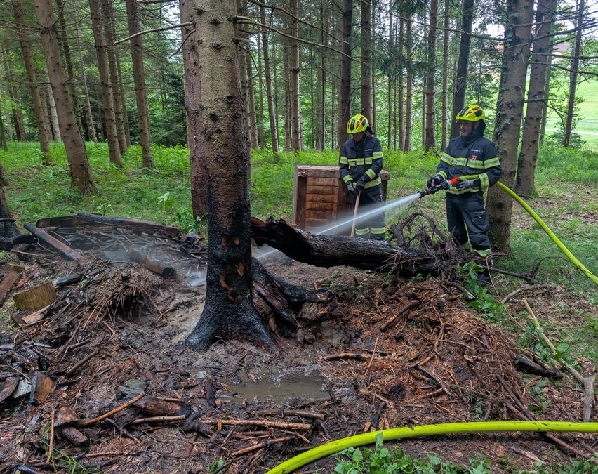 Zwei Feuerwehrleute in gelben Helmen spritzen Wasser auf einen verbrannten Baumstamm im Wald.