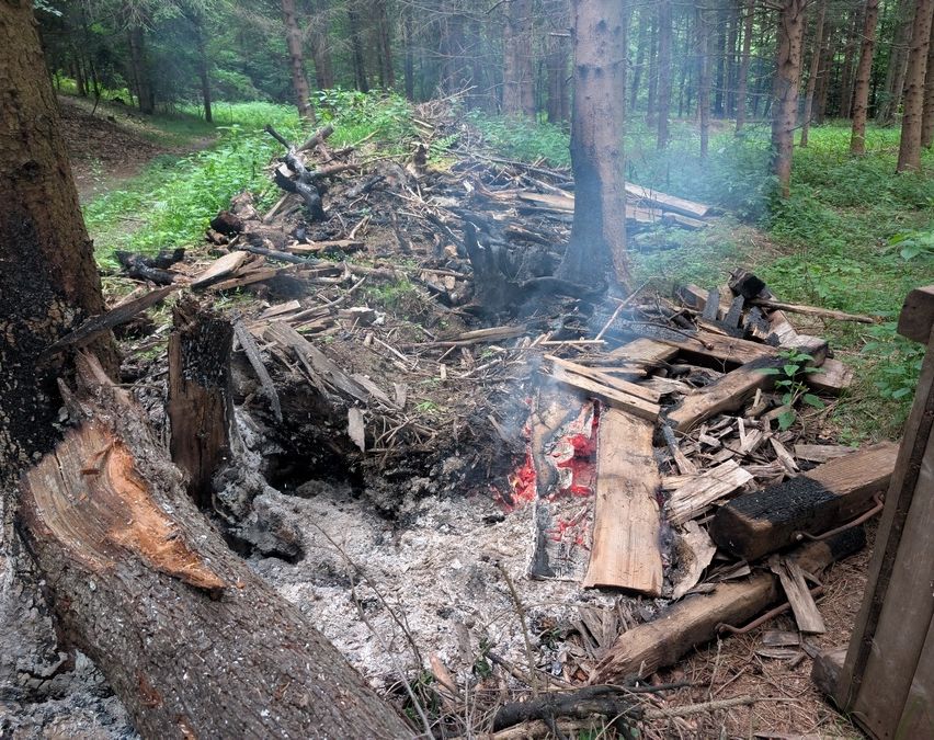 Eine Waldszene mit einem Haufen brennendem Holz und Asche in der Mitte, umgeben von Bäumen und grüner Vegetation.