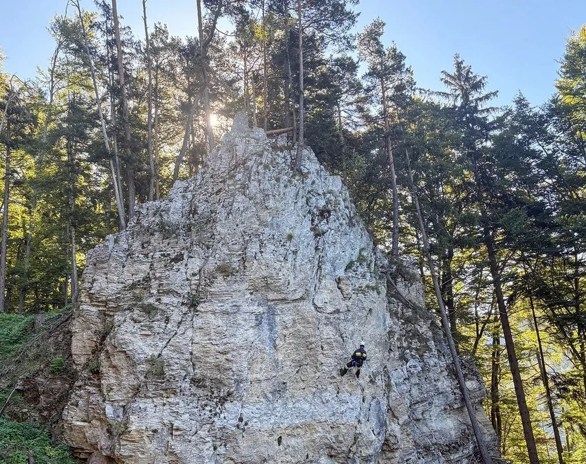 Eine Person klettert auf einem großen Felsvorsprung, umgeben von hohen Bäumen unter einem hellen Himmel.