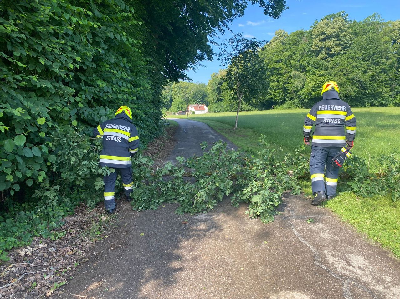 Two firefighters in yellow and black uniforms are clearing vegetation from a roadside path, surrounded by green trees.