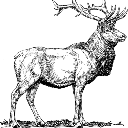 v1_migrated_image_48837259