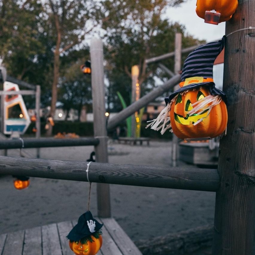 Bild enthält, Festival, Halloween, Jack-o-lantern
