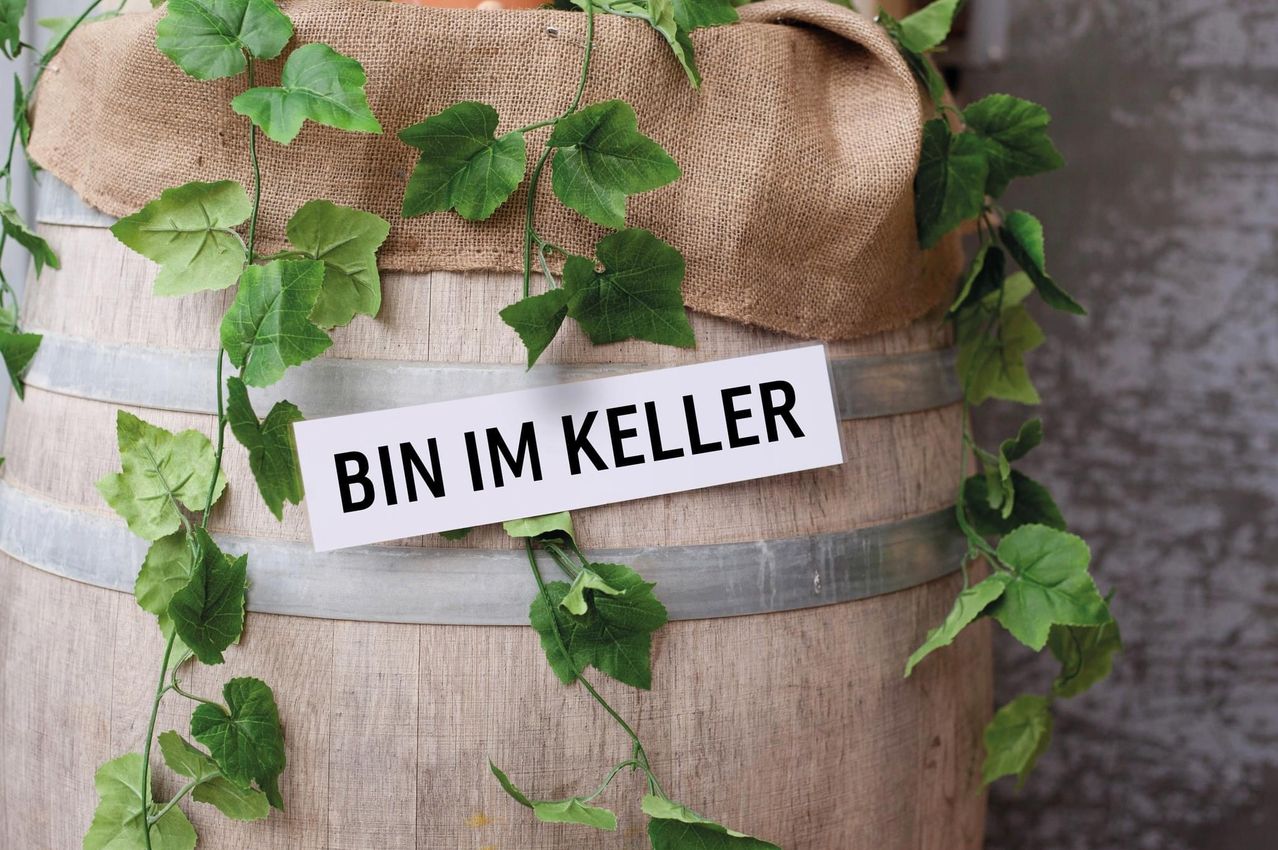 Bild enthält, Plant, Vine, Ivy