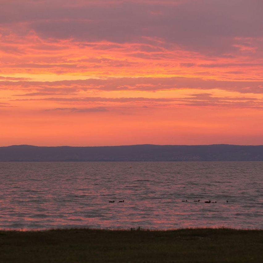 Ein ruhiger Sonnenuntergang über einem ruhigen See mit fernen Bergen und mehreren Enten, die auf dem Wasser schwimmen.