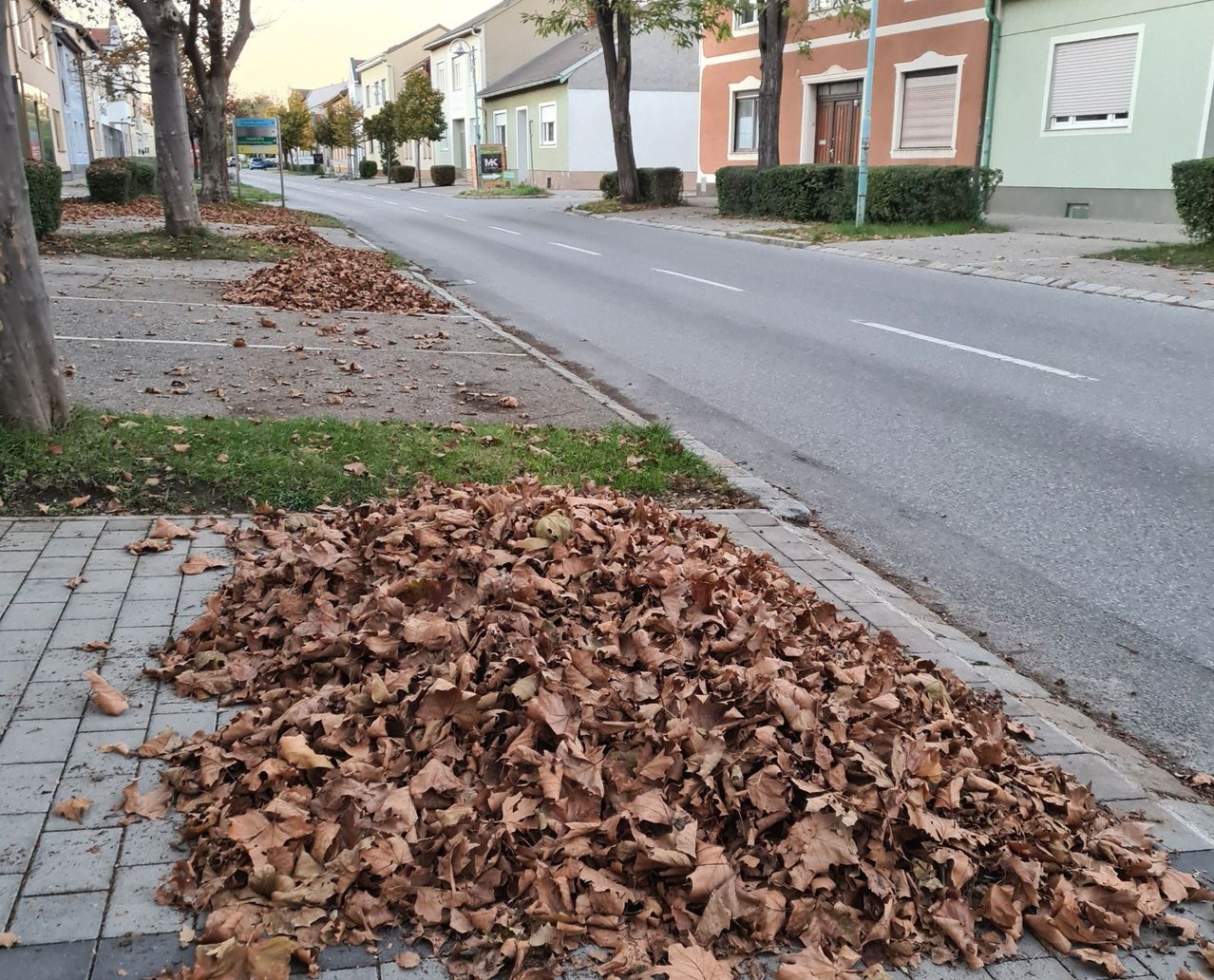Eine Straße mit Gebäuden auf beiden Seiten. Der Bürgersteig ist mit braunen Blättern gefüllt. Die Straße ist leer.