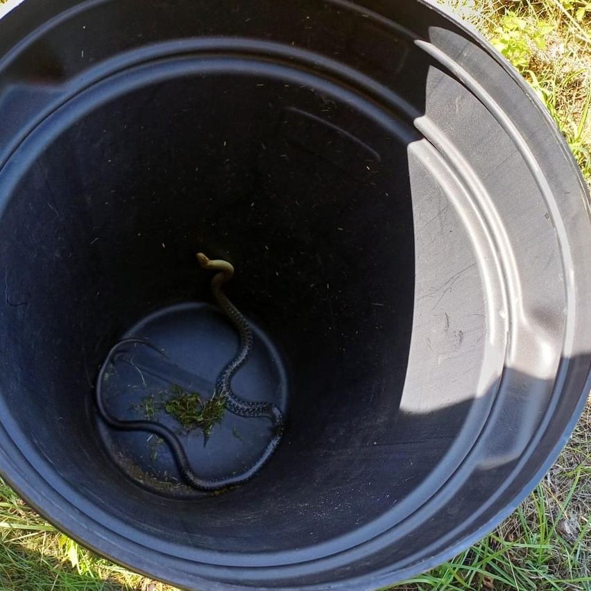 Bild enthält, Machine, Wheel, Bucket