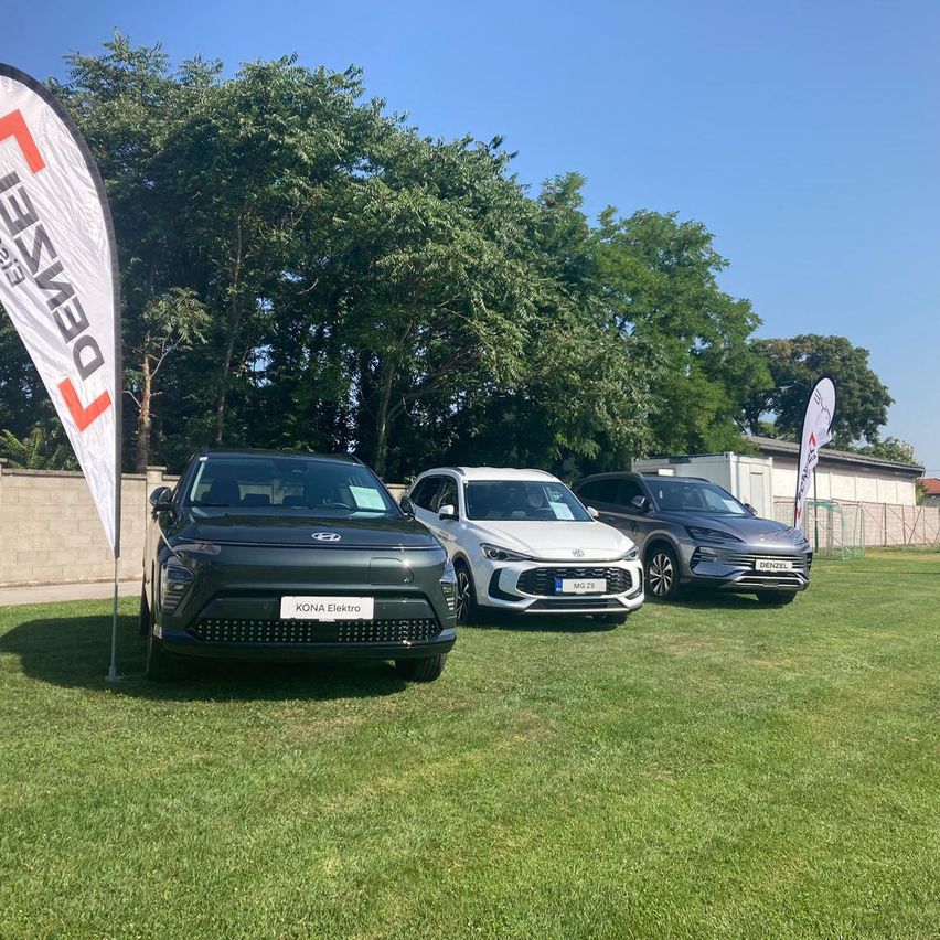 Drei Hyundai-Autos sind auf einem Rasenfeld mit klarem Himmel geparkt. Ein weißer Banner mit dem Text Denzel befindet sich neben dem schwarzen Auto. Hinter den Autos steht eine Ziegelmauer mit Bäumen.
