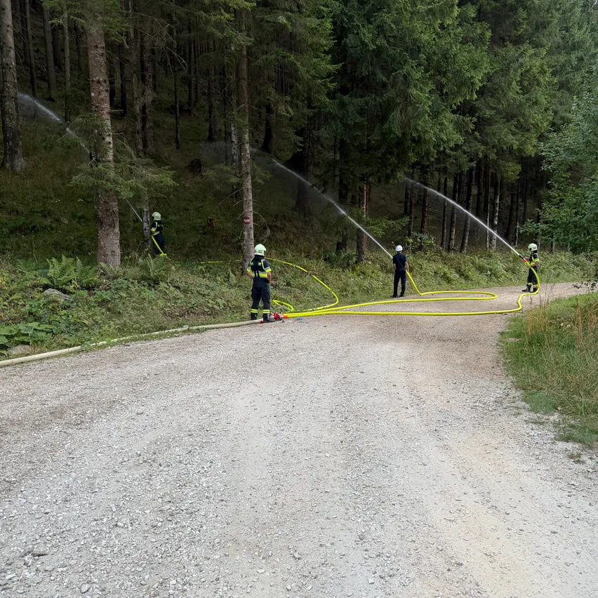 Feuerwehrleute in Schutzkleidung sprühen mit Schläuchen Wasser in einem Waldgebiet. Die Schläuche sind mit einer Wasserquelle auf der linken Seite verbunden, und die Feuerwehrleute sind entlang einer unbefestigten Straße positioniert.