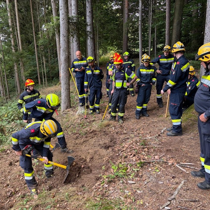 A group of firefighters in full gear are digging a hole in a forest, with others observing and one holding a stick.