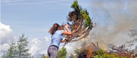 Tree, Photography, Shorts, Person, Outdoors, Nature, Conifer, Grassland, Vegetation