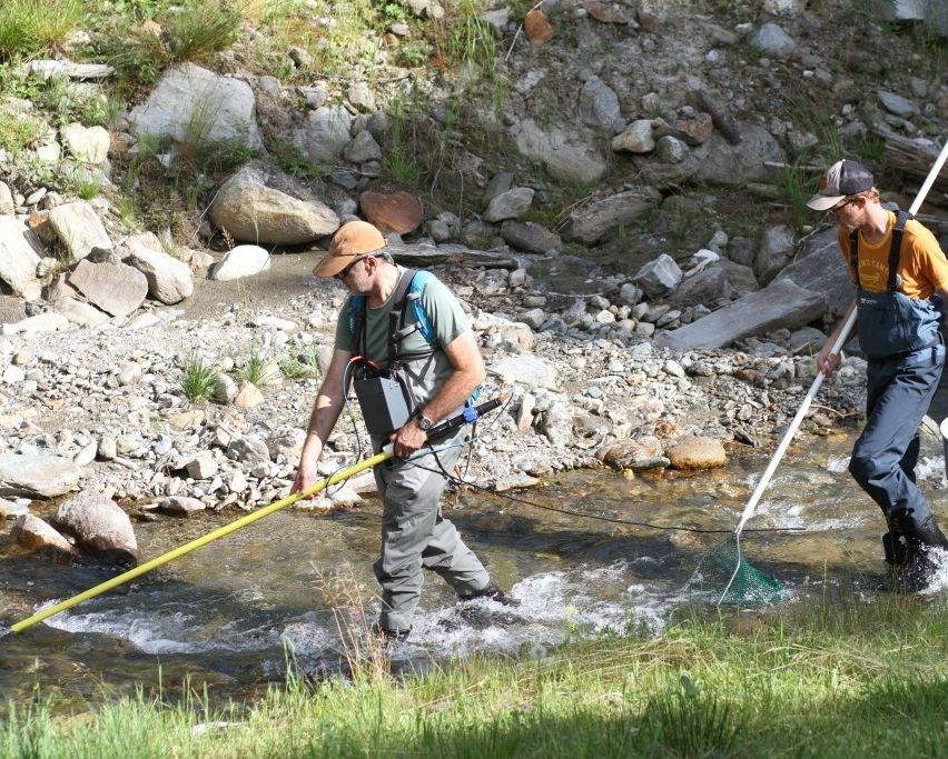 Zwei Männer sind in einem Bach und fangen Fische mit Netzen. Sie sind in Outdoor-Kleidung und Mützen gekleidet. Der Mann auf der linken Seite hält einen gelben Stab.