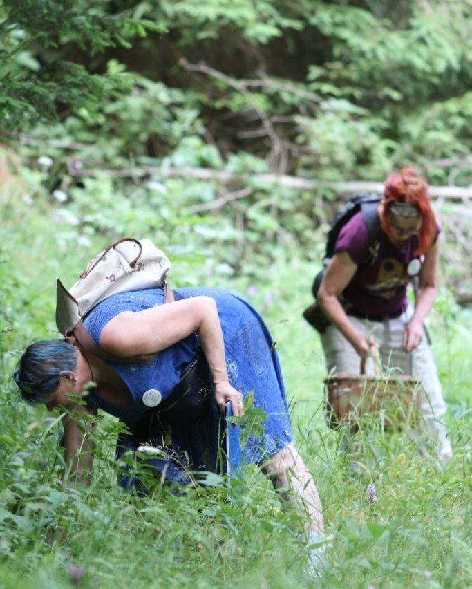 Zwei Frauen in einem dichten Wald, eine gebeugt, die andere hält einen Korb. Sie sind von hohem Gras und Grün umgeben.
