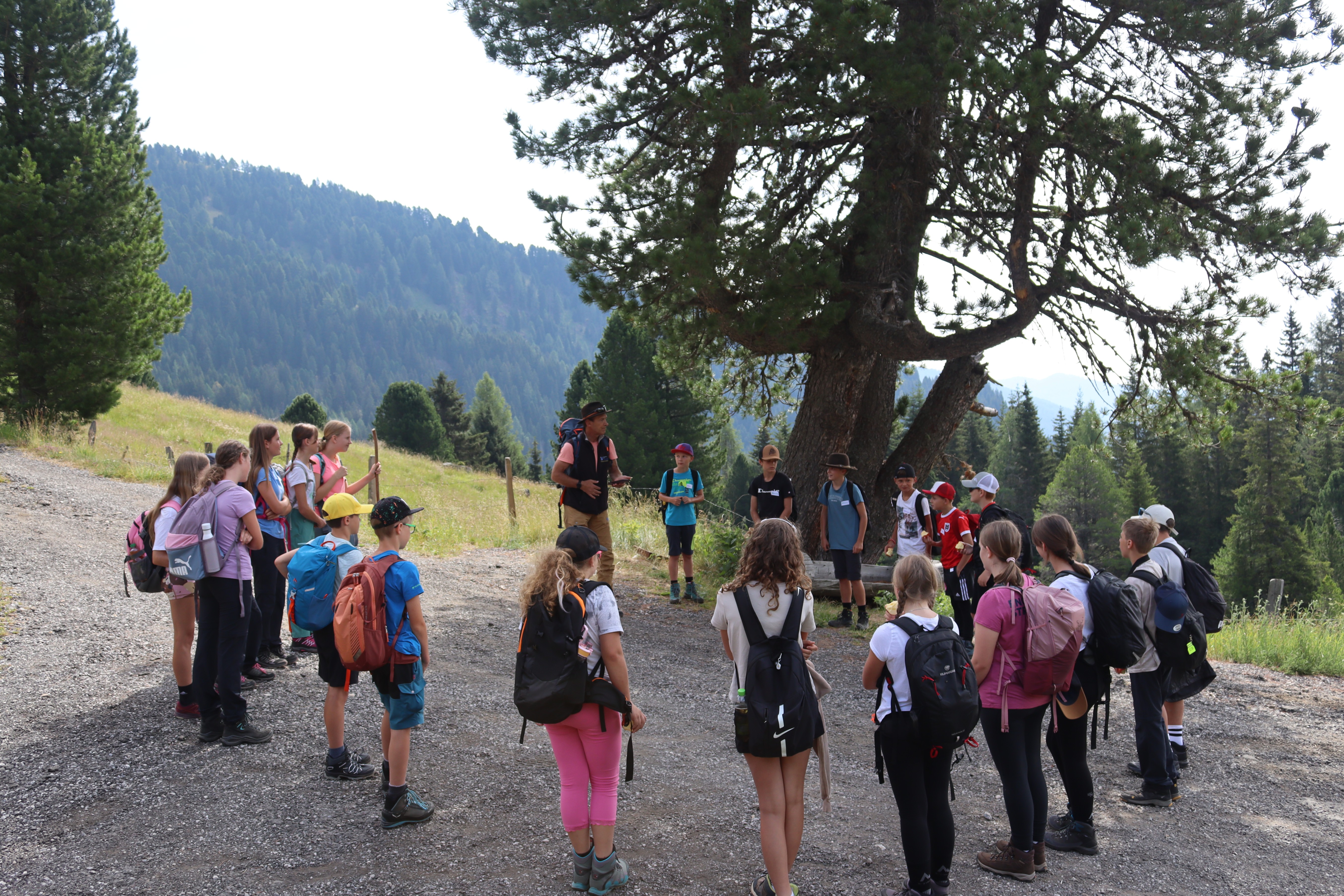 Wandergruppe mit Kindern und einem Bergführer vor einem Baum in den Bergen.