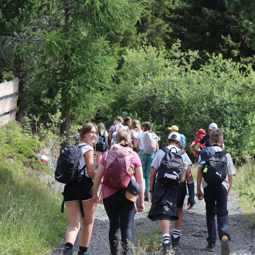 Eine Gruppe von Menschen mit Rucksäcken wandert auf einem Schotterweg durch ein bewaldetes Gebiet. Einige tragen Mützen und Turnschuhe.