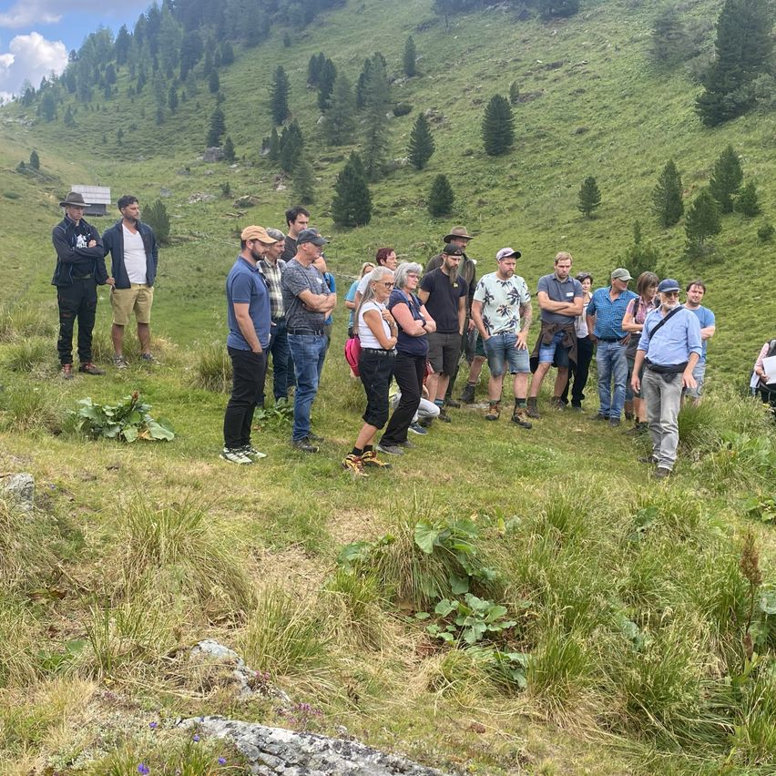 Eine Gruppe von Menschen steht auf einem Grashügel, einige tragen Hüte und Turnschuhe, mit einem Berg und Bäumen im Hintergrund.