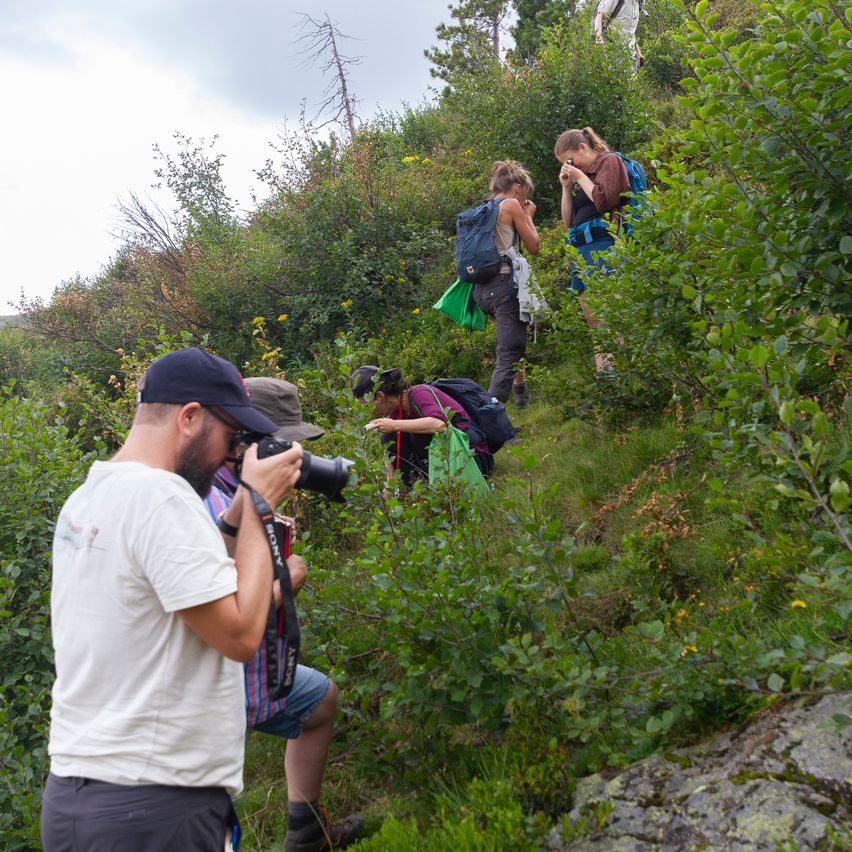 Eine Gruppe Wanderer im Wald, einer fotografiert mit einer Kamera, während andere auf den Boden schauen.