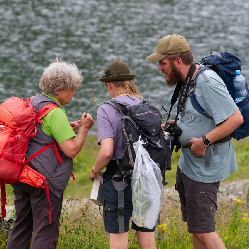 Drei Wanderer, einer mit einer Kamera, untersuchen eine Pflanze in der Nähe eines Sees. Die Frau links trägt ein grünes Shirt und einen roten Rucksack. Die Frau in der Mitte trägt ein lila Shirt und einen grünen Hut. Der Mann rechts trägt einen beige Hut und einen blauen Rucksack.