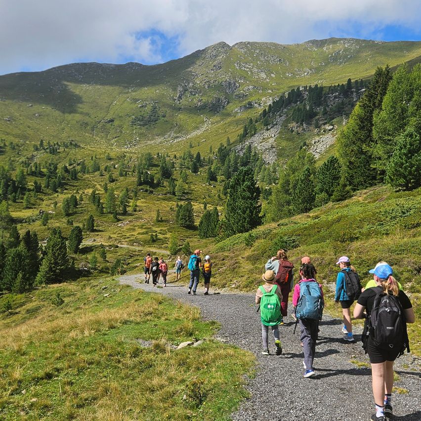 Eine Gruppe von Wanderern mit Rucksäcken auf einem Schotterweg durch ein üppig grünes Gebirgsgebiet unterwegs.