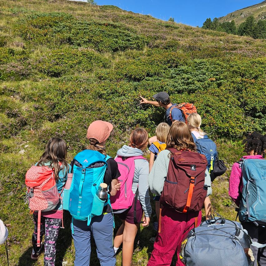 Eine Gruppe von Kindern wandert auf einem grasbewachsenen Hügel, wobei ein Mann auf Pflanzen zeigt. Sie tragen Rucksäcke und Hüte.