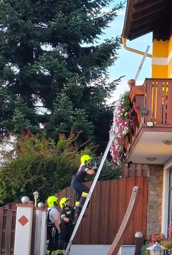 Drei Feuerwehrleute in gelben Helmen klettern eine Leiter zu einem Balkon mit Blumenarrangements hinauf.