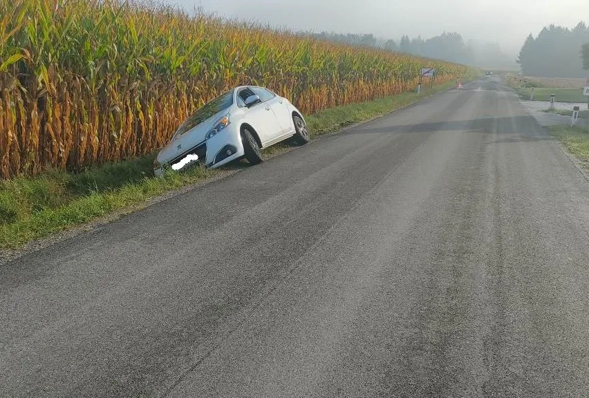 Ein weißes Auto steht am Straßenrand, mit der Vorderseite in einem Maisfeld.