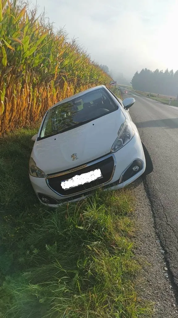 Ein weißer Peugeot-Wagen ist am Straßenrand geparkt, wobei die Front in einem Maisfeld steht. Das Nummernschild des Autos ist unleserlich.