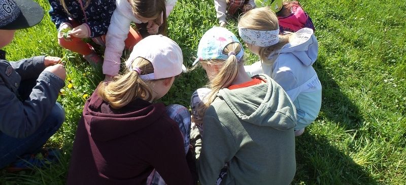 Eine Gruppe von Kindern, einige mit Mützen, sitzen auf dem Gras und betrachten die Blumen.