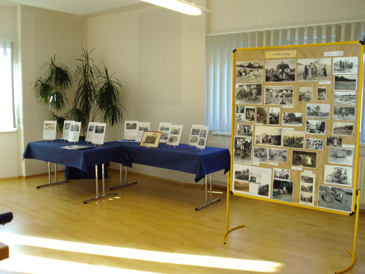 Ein Raum mit zwei Tischen, die mit blauen Tüchern bedeckt sind und verschiedene gerahmte Fotos und Broschüren ausstellen. Rechts befindet sich ein großes Ausstellungsbrett mit zahlreichen Fotos. Links stehen Pflanzen, ein Fenster mit Jalousien und eine Lichtarmature.