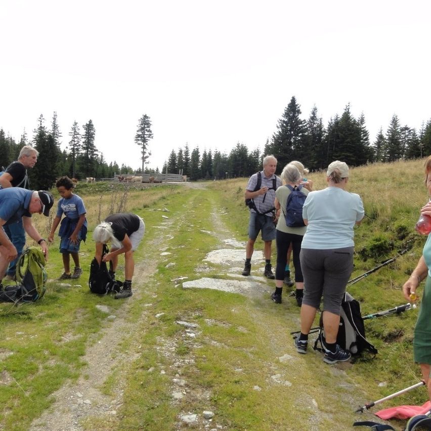 Eine Gruppe von Wanderern bereitet sich auf einen Weg vor, stellt Rucksäcke und Ausrüstung auf einem Grasweg ein, mit Bäumen und fernen Rindern im Hintergrund.
