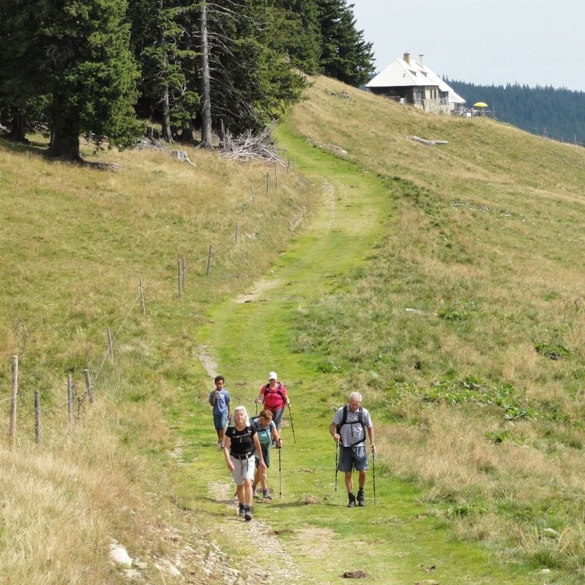 Eine Gruppe von Wanderern, darunter ein Mann mit einer weißen Kappe, wandert auf einem Pfad mit einem Haus in der Ferne. Sie tragen Trekkingstöcke und Rucksäcke.
